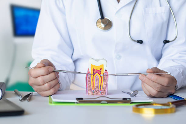 Best Emergency Dental Services for Seniors in Santee, CA
